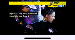 Desktop Screenshot of colorpagesinc.com